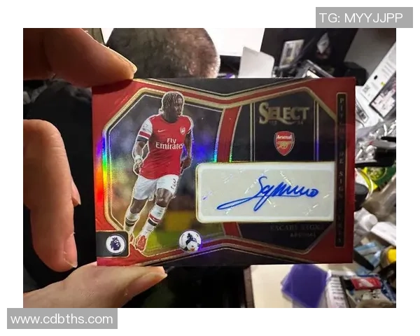 如何购买帕尼尼足球球星卡并挑选最具收藏价值的卡片